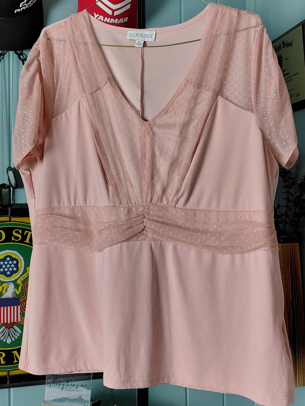 Luxology Sheer Dot Pink V-Neck Blouse